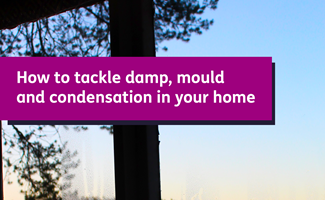 Front cover to damp, mould and condensation guide