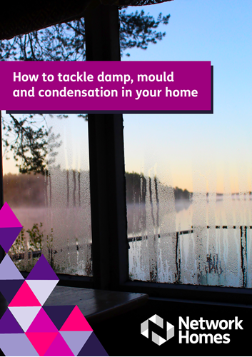 Damp and mould booklet
