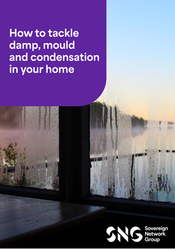 Damp And Mould Leaflet front cover