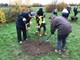 Vounteers planting trees for community orchard