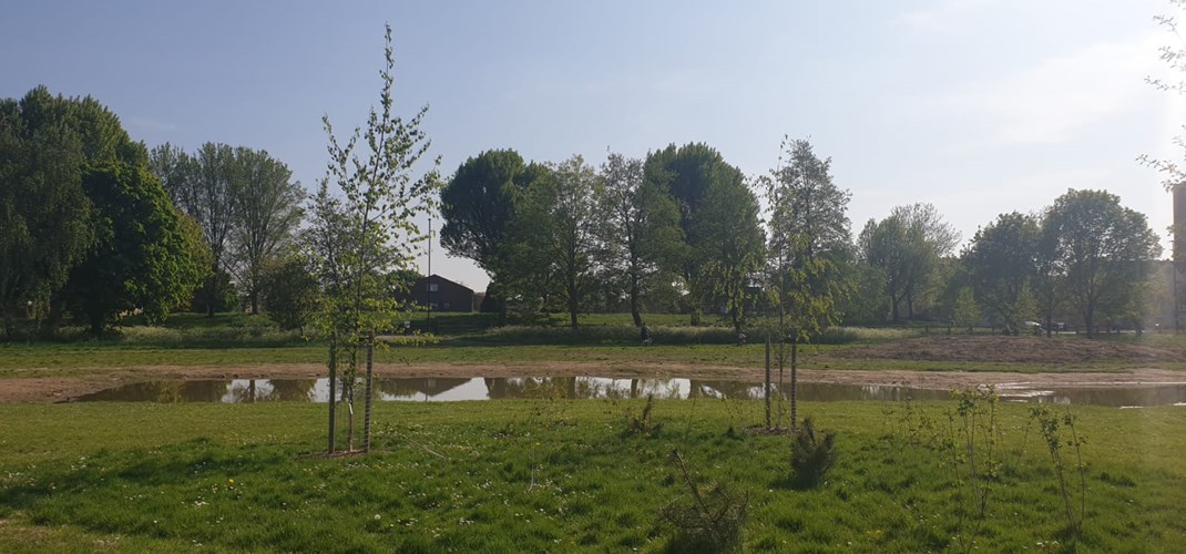 Rectory Park Community Orchard 1
